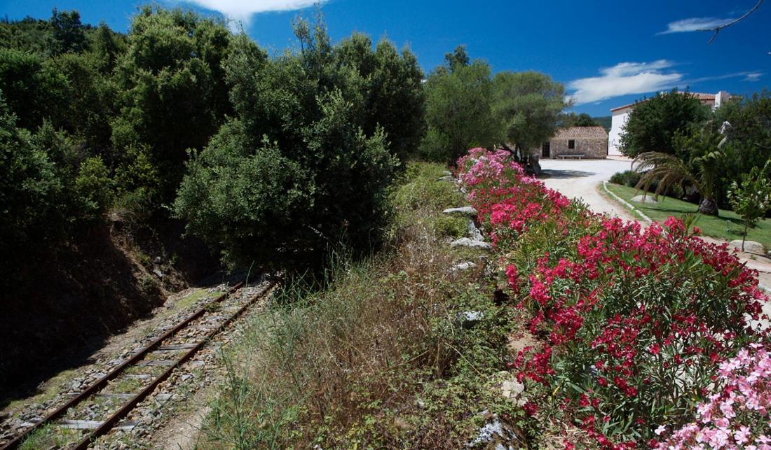Hotel Valkarana Country Relais (Adults Only) Sant'Antonio di Gallura Exterior photo